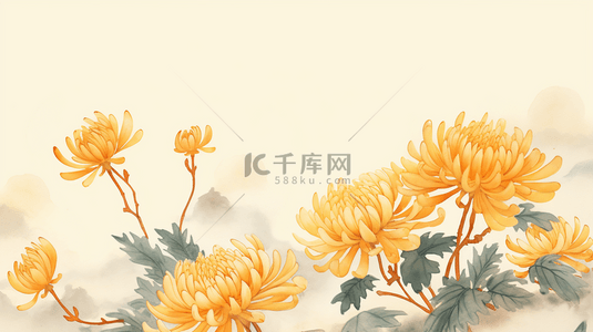 唯美金黄色菊花重阳节背景13