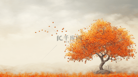 秋日挂满金黄柿子的柿子树背景23
