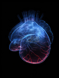 半透明材料人体心脏医学背景7