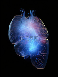 半透明材料人体心脏医学背景2