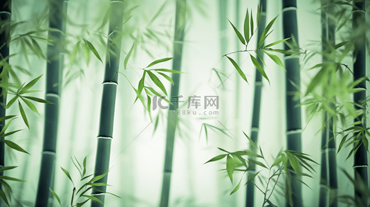 绿色竹林中国风意境背景