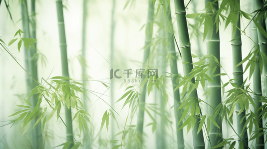 竹背景图片_绿色竹林中国风意境背景