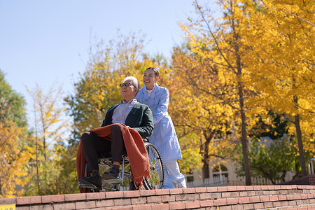老人技术摄影照片_护士推着坐在轮椅上的老人散步
