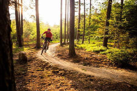 山地自行车骑自行车在夏季森林