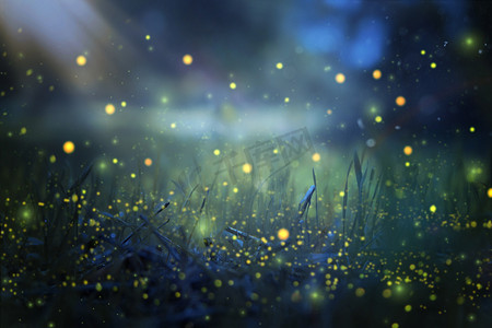 萤火虫在夜林中飞行的抽象而神奇的图像.童话故事概念.