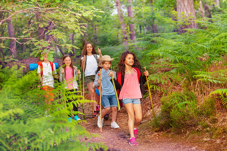 漫步摄影照片_一群孩子在森林里漫步在学校夏天活动一个接一个的背包