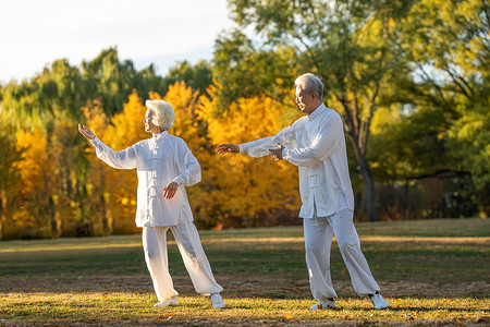 提钱退休摄影照片_老年夫妇正在练太极拳