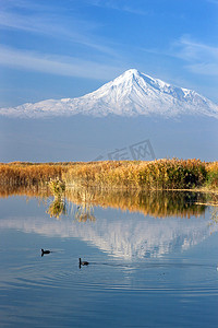 小鸭摄影照片_亚拉腊山倒映在湖面