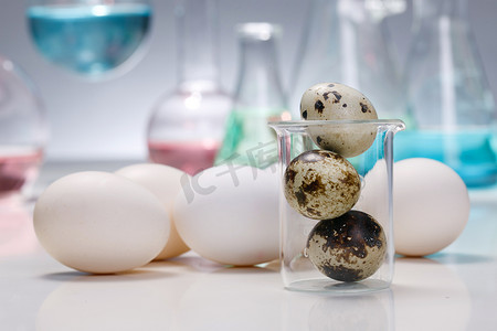 医疗小清新摄影照片_实验室器皿鸡蛋鹌鹑蛋