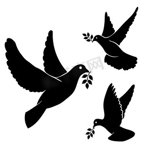 飞翔的鸽子，橄榄集黑色剪影