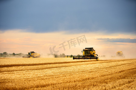 在麦田里干活的收割机与多云的天空相结合.收割机司机在农田里收割庄稼.农业主题，收获季节.