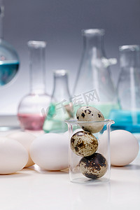 实验室器皿鸡蛋鹌鹑蛋