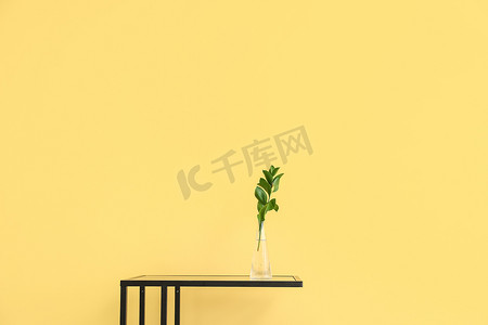 黄墙摄影照片_在黄墙附近的桌子上放些植物