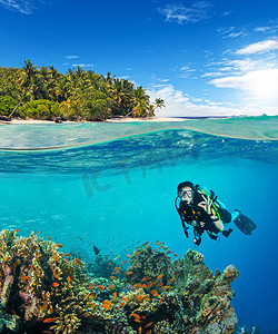女子潜水员在水面下和水面上的视野。背景下的水下动植物、海洋生物和异国情调的岛屿