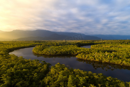马逊雨林摄影照片_在巴西的亚马逊雨林