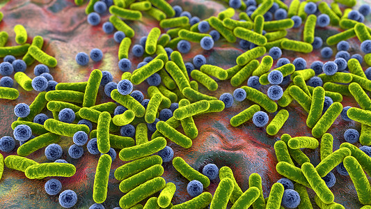 线状细菌和球菌，人类微生物组，人类病原菌，3D图解