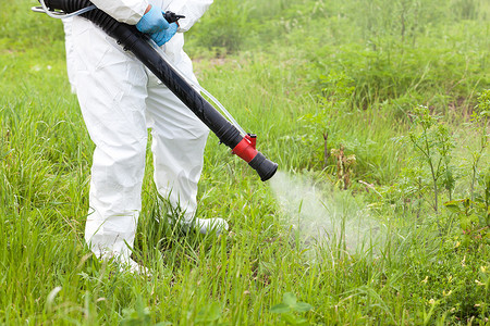 防护服摄影照片_穿着防护服的人，在抹草上喷洒除草剂。杂草控制.