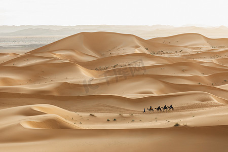摩洛哥，撒哈拉沙漠沙丘中的骆驼车队。色彩艳丽的日落.背景层次分明传统的阿拉伯交通.