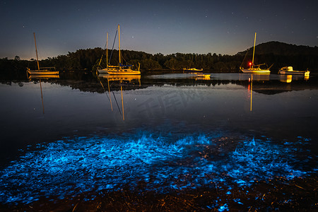 在澳大利亚新南威尔士州中部海岸的沃伊沃伊海滨，当海水流动时，海洋藻类发出的生物发光蓝色光芒就会被激活.