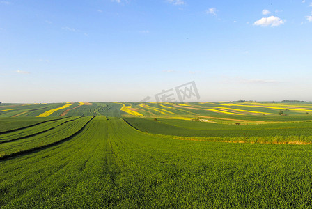 美丽的乡村风景，阳光普照的波兰耕地