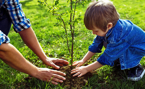 父亲与孩子牵手。小男孩在花园里一起工作时, 帮助他的父亲种树。星期天。笑脸。春天的时候。志愿者与发芽生长 