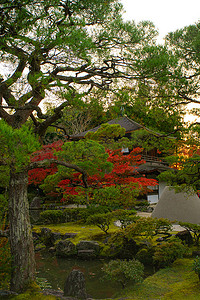 光辉摄影照片_银幕寺（Ginkaku-ji），日本关西京都Sakyo区的禅寺，正式名称为