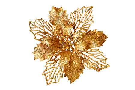 新年元素摄影照片_金花洁白背景孤立无援,美丽的单一朵金花,黄色金属花,花卉图案,圣诞树装饰,新年装饰,豪华老式装饰设计元素