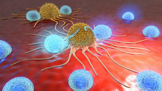 肿瘤细胞摄影照片_3d. 肿瘤细胞和淋巴细胞的图示
