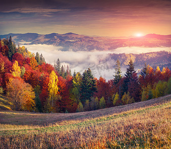 在山上色彩斑斓的秋天朝阳.