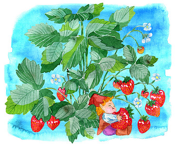 涂鸦摄影照片_有趣的小侏儒在蓝色的背景下吃草莓。水彩卡通涂鸦插图, 植物学和幻想图纸打印, 贺卡, 海报, 邀请