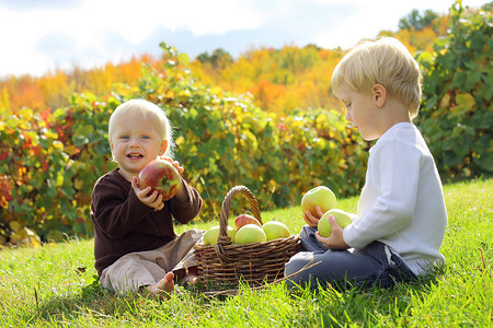 年幼的儿童在苹果果园吃水果