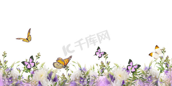 边境的花朵和蝴蝶