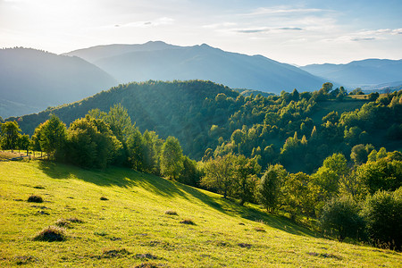 日落时山中的乡村风景。长满青草的山岗上的树木和田野。美丽的乡村风景中的外喀尔巴阡山脉地区，乌克兰语，在黄昏的阳光下。秋天阳光灿烂