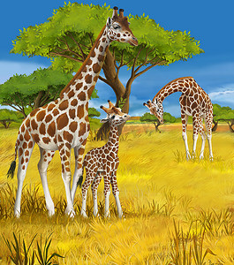 儿童的的 safari-长颈鹿-插图