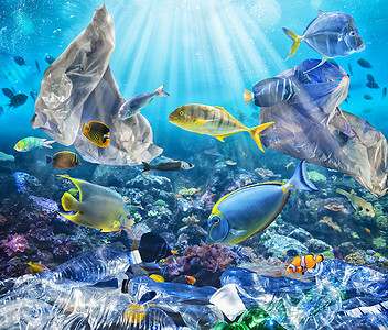 鱼用漂浮的袋子游泳。海洋下塑料污染问题概念.