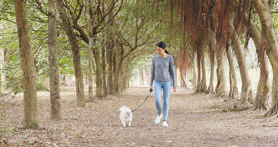 遛狗的女人摄影照片_在公园遛狗的女人