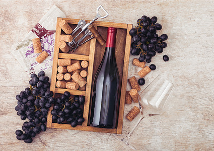 一瓶红酒和空玻璃与黑葡萄与软木塞