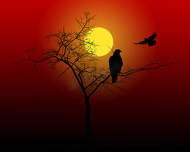 树和鸟在夕阳红