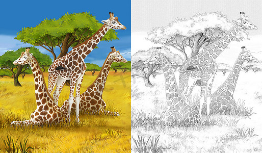 safari-长颈鹿-彩页-儿童插画