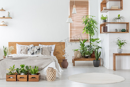 真正的照片的植物卧室内部与木制货架, 桌子, 双人床, 植物和空墙旁边的窗口与百叶窗。把你的画