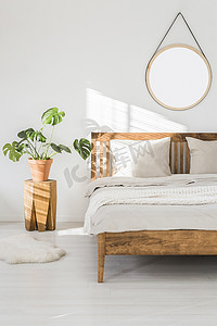 龟背竹植物在树干床头和一个圆的镜子在床之上, 在一个白色墙壁在阳光照射的卧室内部与木家具