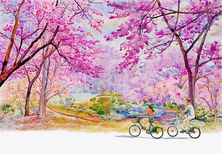 粉红红色的野生喜马拉雅樱桃, 路边在早晨与男人和女人骑自行车旅行, 天空云背景, 手绘, 美丽自然春天的季节在泰国。画水彩画景观