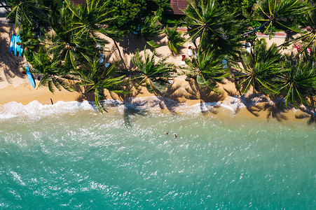 棕榈芭蕉叶黑白摄影照片_蔚蓝的水波和绿色热带棕榈构成的风景秀丽的海岸线.鸟瞰夏威夷的天堂海滩海岸线，美丽的暑假旅游目的地