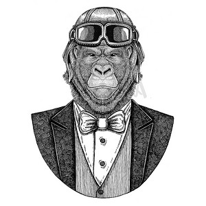大猩猩, 猴, 猿动物佩带飞行员头盔和夹克用弓领带飞行俱乐部手画的例证为纹身, t-shirt, 徽章, 标志, 徽章, 补丁