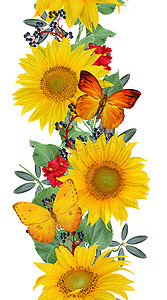 蝴蝶边框摄影照片_花卉无缝图案。垂直边框。向日葵花环, 绿叶, 鲜艳的花朵, 蝴蝶