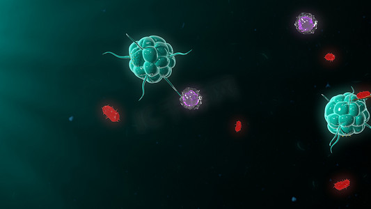 细菌攻击免疫系统