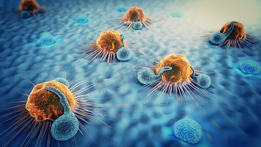 3d. 肿瘤细胞和淋巴细胞的图示