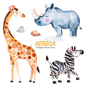 狩猎与长颈鹿, 犀牛和斑马, 水彩插图收藏集