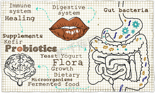 关于欧巴的卡通摄影照片_关于消化系统和益生菌的插图