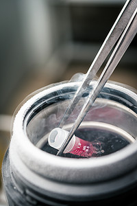 液氮摄影照片_科学家控股容器与悬浮的干细胞冷冻保存.